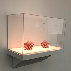 Protéger des objets de collections avec des capots en plexiglas ou PMMA.
