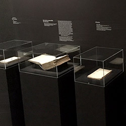 Les livres sont particulièrement exposés aux détériorations.