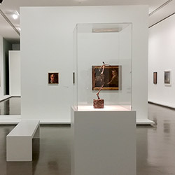 Où acheter des vitrines en plexiglas ?