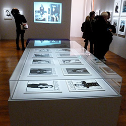 Les musées ont besoin de ce type de matéril pour leurs expositions.