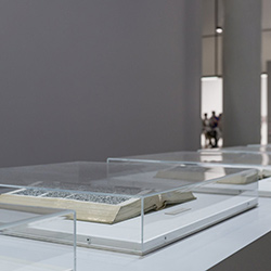Les capots et les cloches en PMMA sont indispensables pour une exposition réussie.