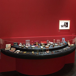 Présentation d'une collection complte sous une cloche en plexiglas.